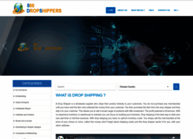 500dropshippers.com preview