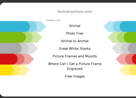 animal-picture.com preview