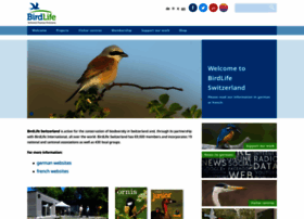 birdlife.ch preview
