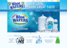 bluewaterstt.com preview