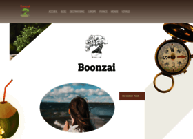boonzai.com preview