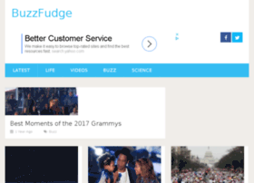 buzzfudge.com preview