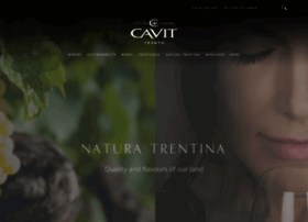 cavit.it preview
