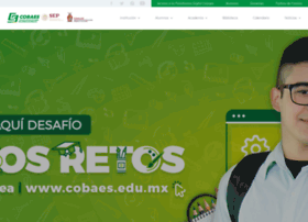 cobaes.edu.mx preview
