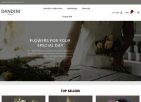 dandiniflowers.co.uk preview