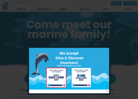 dolphinmarinemagic.com.au preview