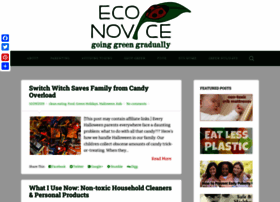 eco-novice.com preview