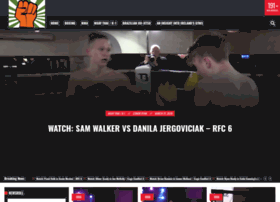 fightstoremedia.ie preview