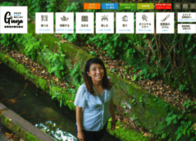 ginozanavi.com preview