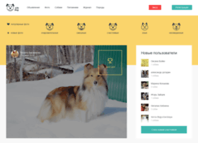 lifedog.ru preview