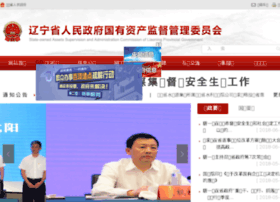 lngzw.gov.cn preview