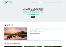 nicebing.com preview