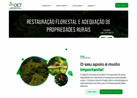 oct.org.br preview