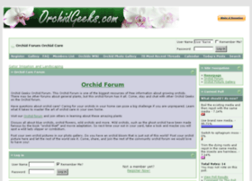 orchidgeeks.com preview