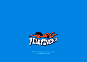 pelopincho.com preview