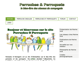 perruche-perroquet.com preview