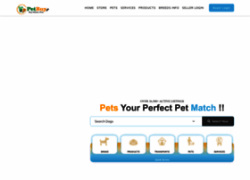 petbuy.in preview