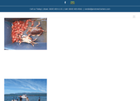 pristinecharters.website preview