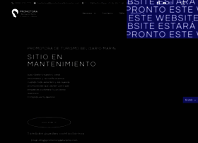 promotoradeturismo.com preview