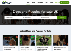 puppiesforsale.uk.com preview