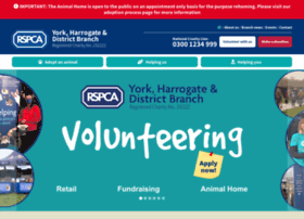 rspca-yorkhome.org.uk preview