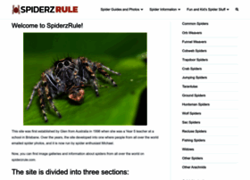 spiderzrule.com preview