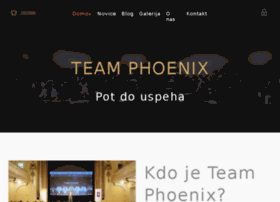 teamphoenix.si preview