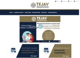 tejav.org.mx preview