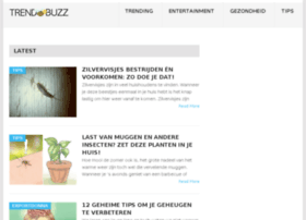 trendbuzz.nl preview