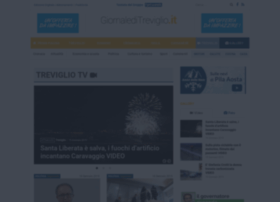 treviglio.tv preview