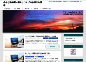 tsukuba-lab.info preview