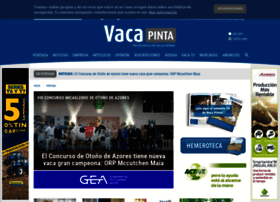 vacapinta.com preview