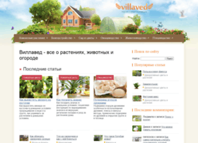 villaved.ru preview
