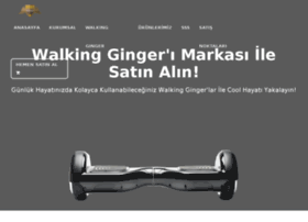 walkingginger.com preview